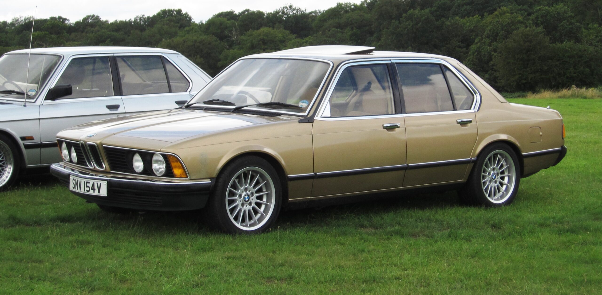 Zwei BMW 728 der Baureihe E23 auf einer Wiese